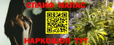 прущие грибы Конаково